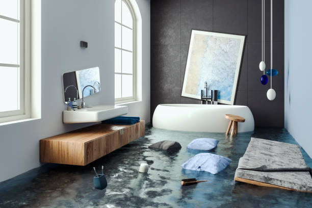 Best Carpet water damage restoration  in East Grand Rapids, MI