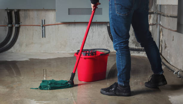Best Professional water damage repair  in East Grand Rapids, MI