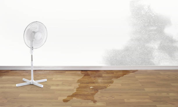 Best Fire Damage Restoration  in East Grand Rapids, MI