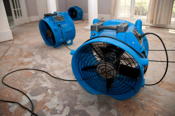 Best Ceiling water damage repair  in East Grand Rapids, MI