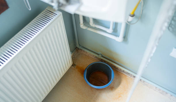 Best Flooded house restoration  in East Grand Rapids, MI