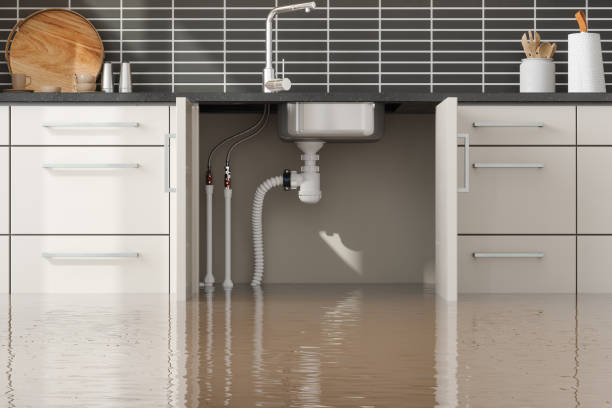 Best Water damage restoration near me  in East Grand Rapids, MI