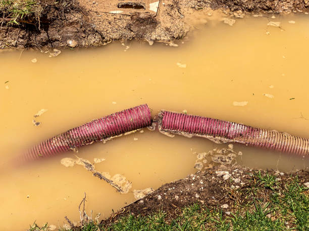 Best 24/7 water damage repair  in East Grand Rapids, MI