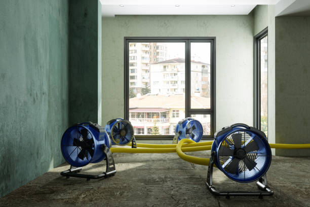 Best Sewage cleanup and water damage restoration  in East Grand Rapids, MI