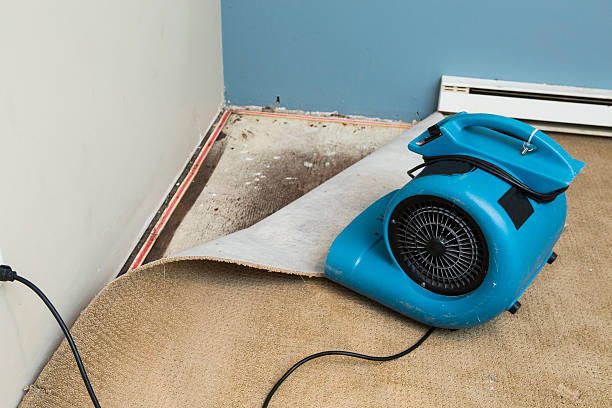 Best Water damage cleanup near me  in East Grand Rapids, MI